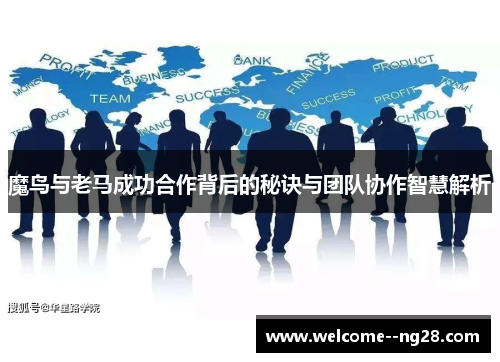 魔鸟与老马成功合作背后的秘诀与团队协作智慧解析